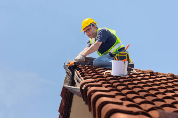 Best Emergency Roof Repair Services  in USA